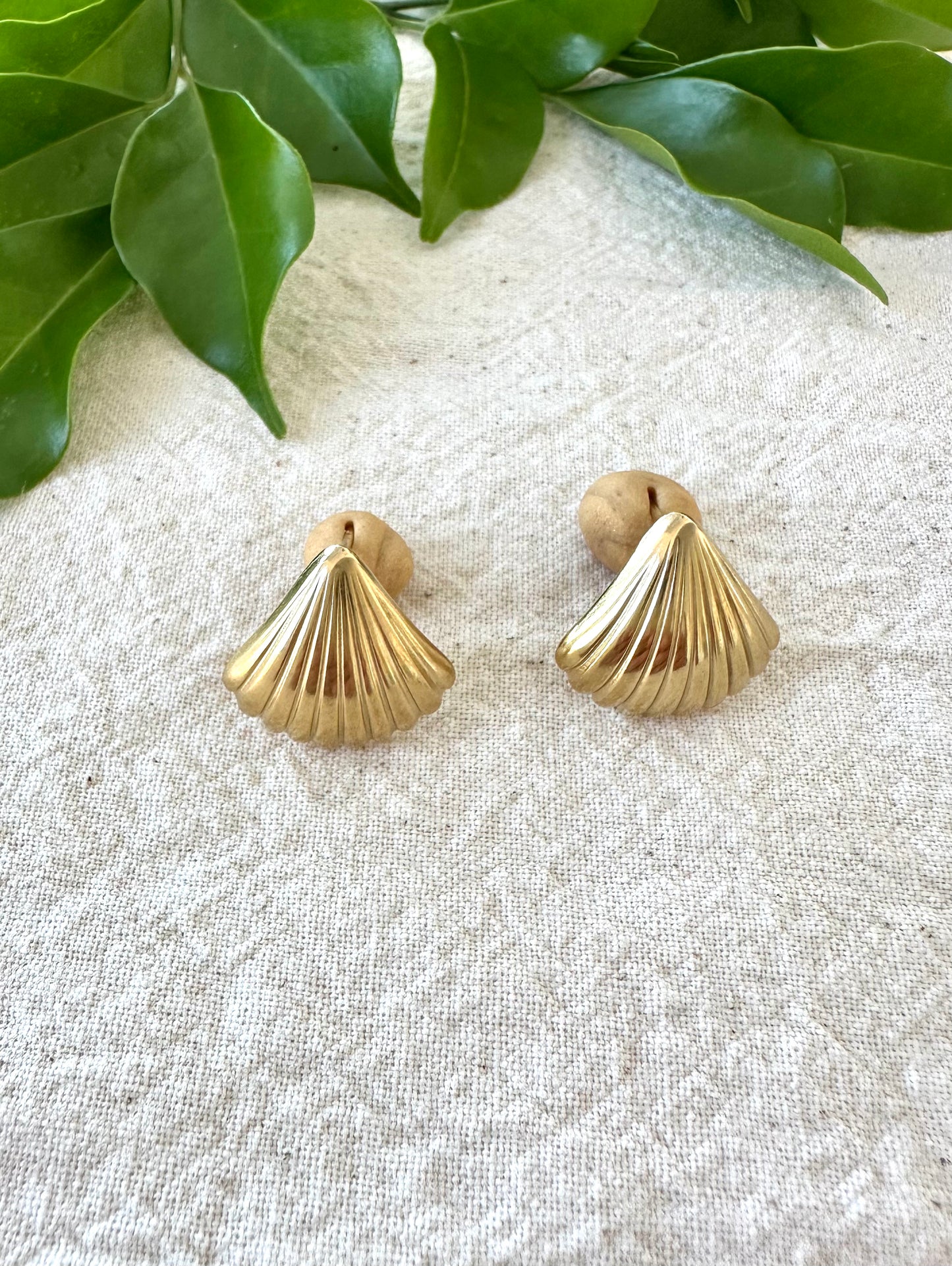 Sea Shell Studs