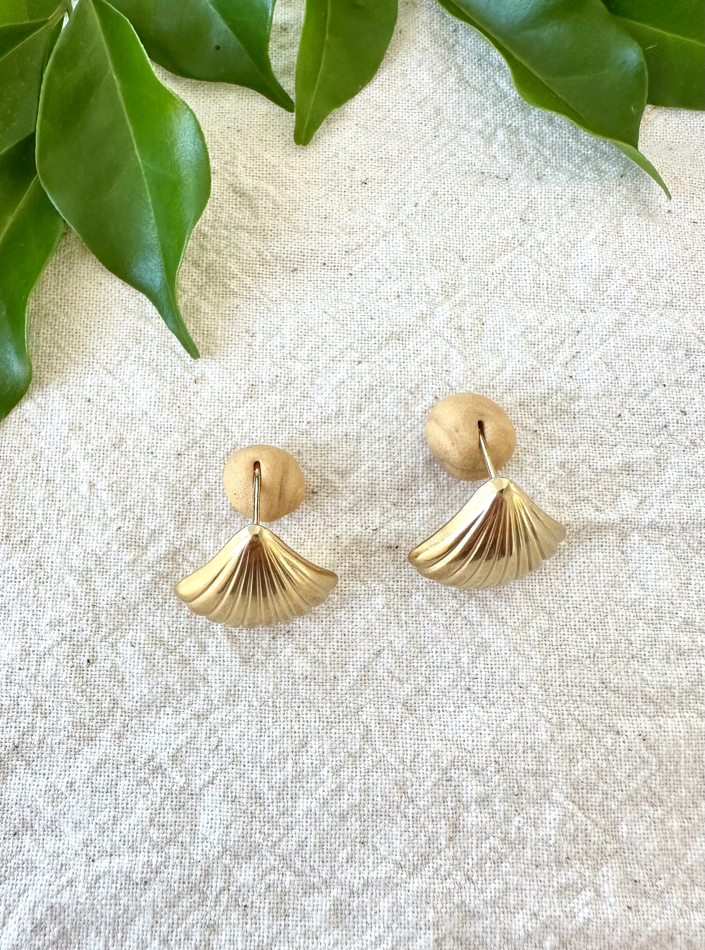 Sea Shell Studs