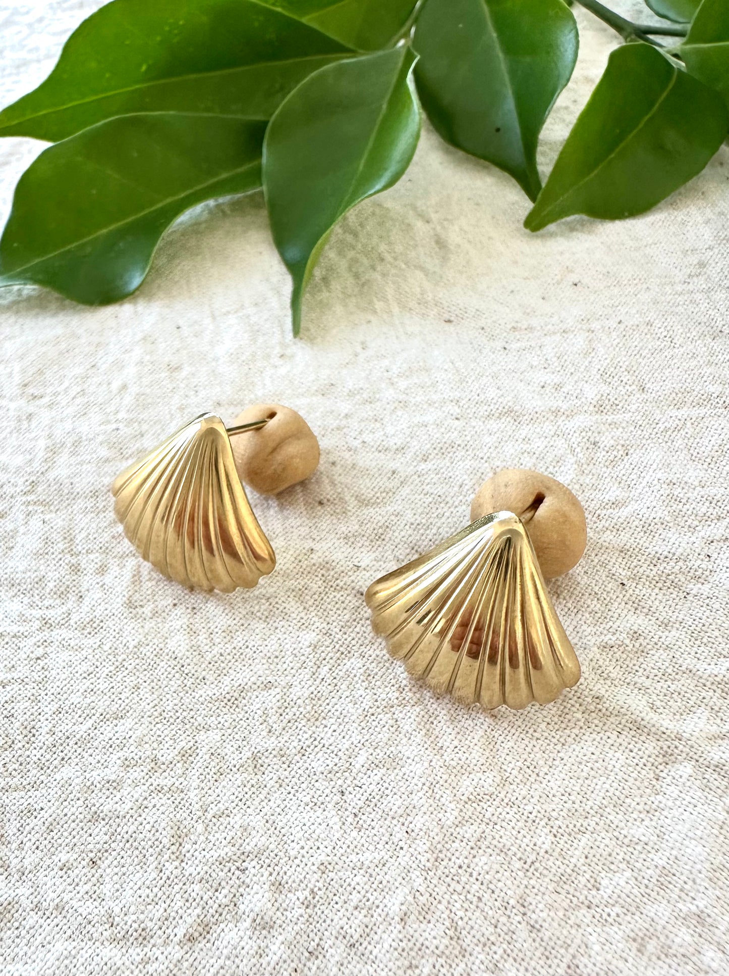 Sea Shell Studs