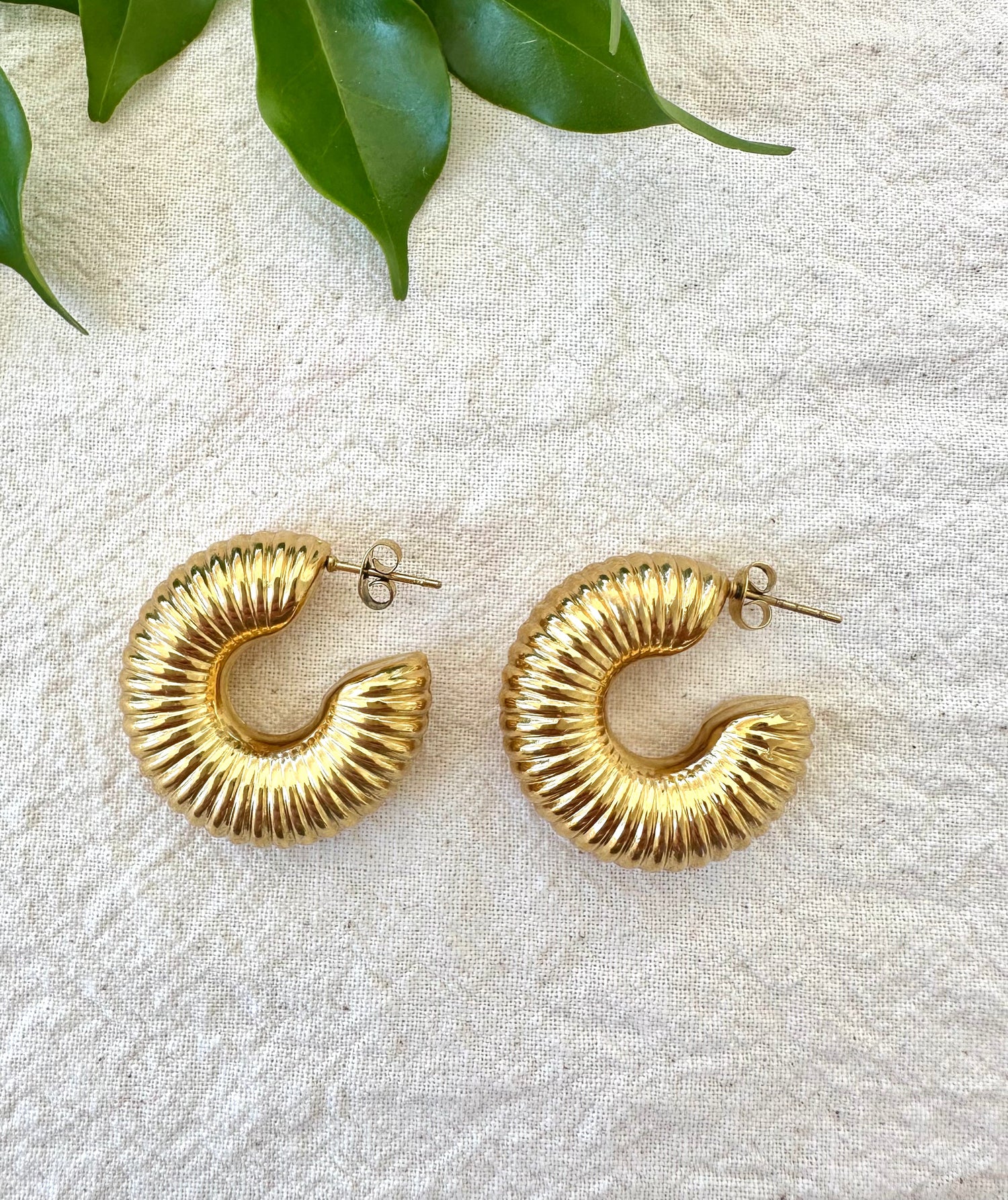 Demi Hoops