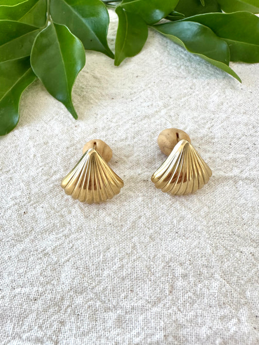 Sea Shell Studs